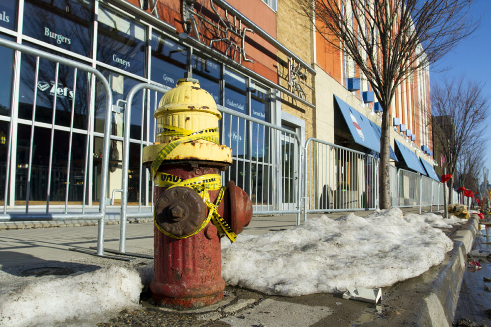 This hydrant protects two theaters and a restaurant on Woodward near Midtown. Steve Neavling/ MCM