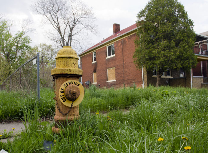 Houses disappear around broken hydrant in neglected Detroit neighborhood