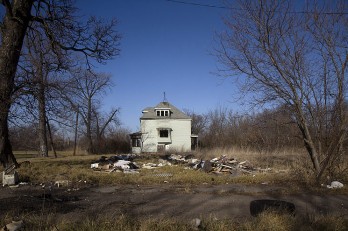 Hantz Farms: Massive tree-planting project never intended to be job-generator