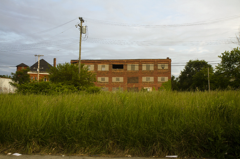 Grassy field