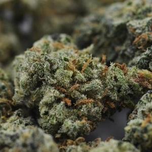 New website offers objective news, views on marijuana in Michigan