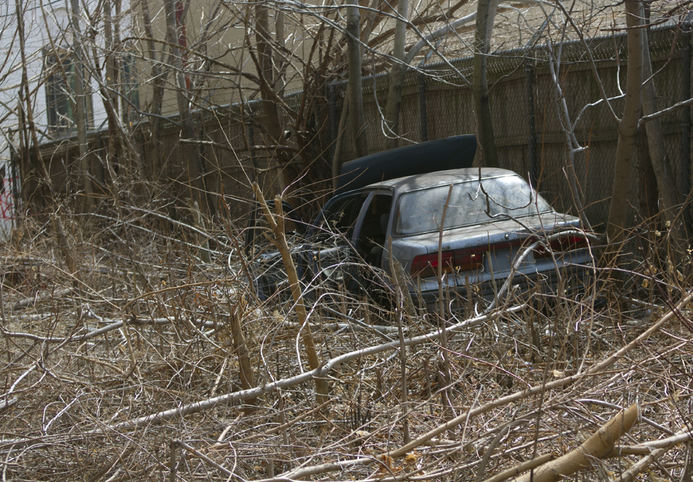 Abandoned car in a vacant lot off Cass Ave.
