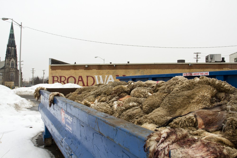 A dumpster is filled to the brim with rotting lamb carcasses at the Eastern Market. 