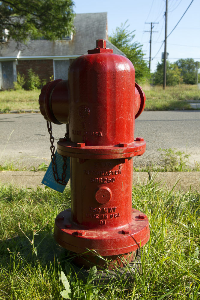 A new hydrant installed this year didn't work. 