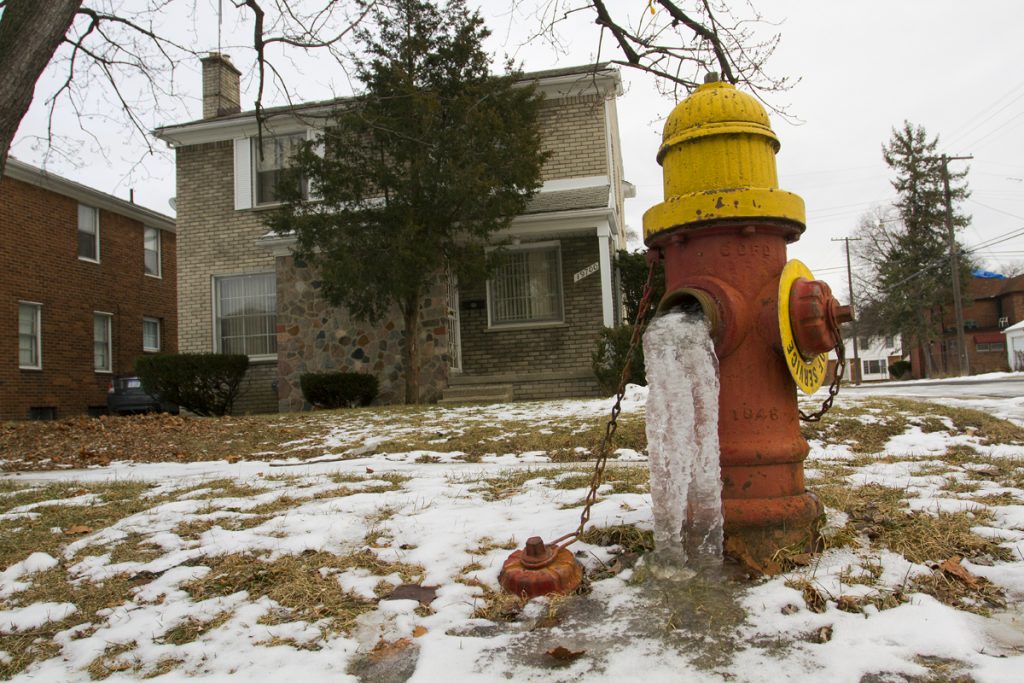 A frozen hydrant outside of an occupied Detroit home. By Steve Neavling. 