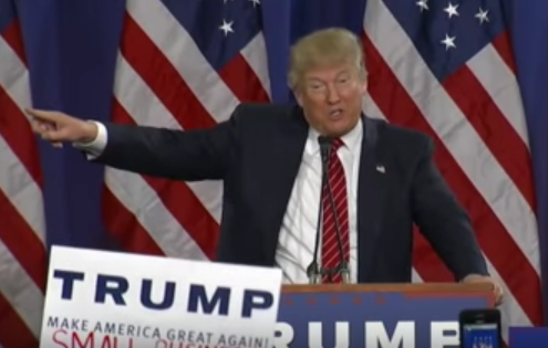 Trump makes unconstitutional case for arresting protester at Michigan rally