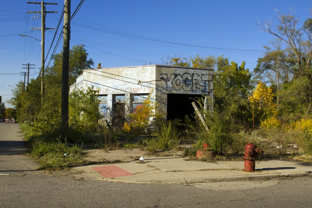 A sidewalk to nowhere on Detroit's east side. Photo by Steve Neavling. 