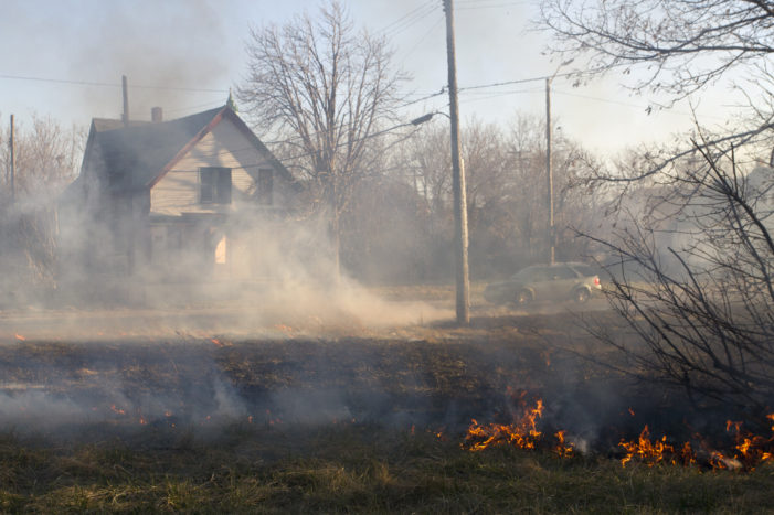 Up close: DTE, rotting trees to blame for many of Detroit’s wind-swept fires