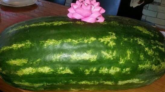 Ex-Detroit firefighter sues over termination for ‘racially insensitive’ watermelon
